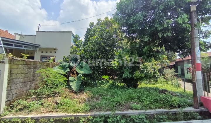 Tanah Karang Geneng Gunung Pati Hook SHM