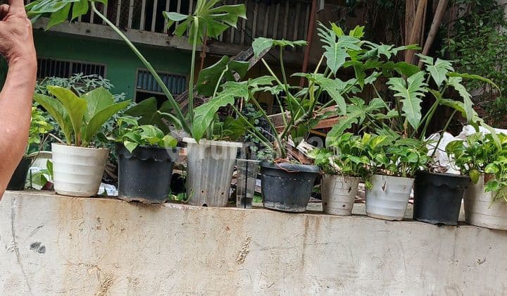 Di Jual Tanah Kavling Murah Kemanggisan Jakarta Barat