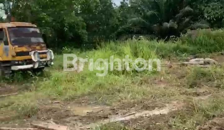FOR RENT, LEVEL LAND BESIDE THE ROAD TO KARIANGAU TPK, NORTH BALIKPAPAN, EAST KALIMANTAN