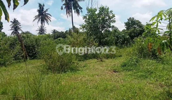 TANAH KAVLING NATAR LAMPUNG SELATAN TANAH KAVLING NATAR LAMPUNG SELATAN