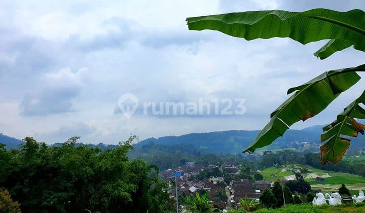 Dijual Tanah D Trawas View Bagus Lokasi Strategis