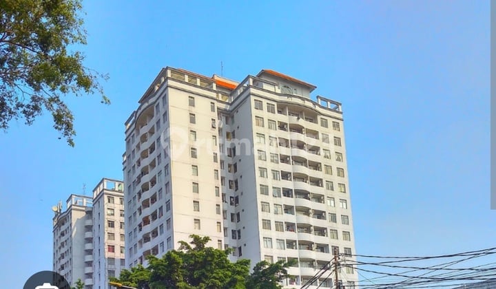 Cheap Luxury Boarding House