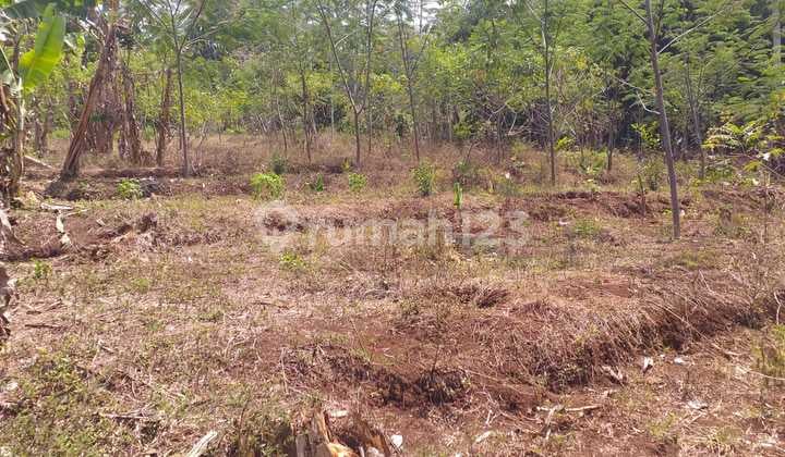 Tanah 6.475 M2 Dekat Plta Cisokan Bojongsalam Rongga, Bandung