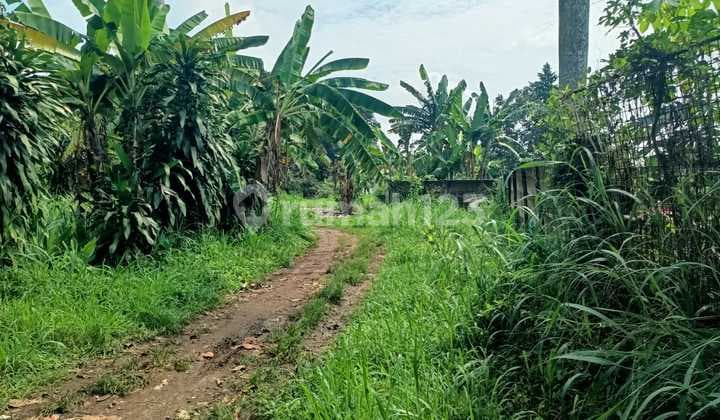 Tanah 6.055 Ajb Kemiri Pondok Cabe Pamulang, Tangerang Selatan