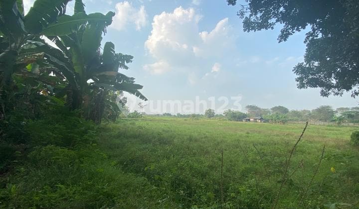 Land for Sale, 1000 m2, Can Be Used as a Workshop, Warehouse, or House, Located in Cijengkol Setu, 800 Meters from Grand Wisata Mall Bekasi.