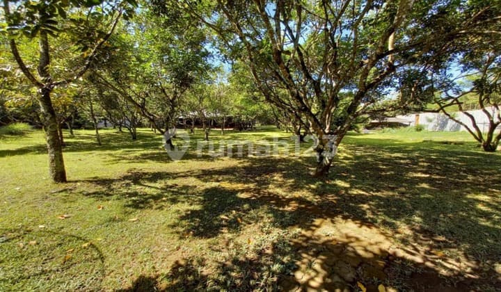 Rumah Semi Furnished Bagus SHM - Sertifikat Hak Milik di Cimalaka