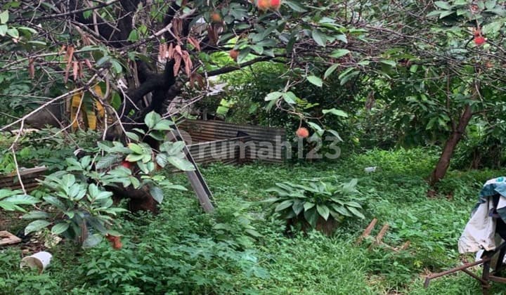 Tanah di Jatibening SHM - Sertifikat Hak Milik 1425 Squaremeter