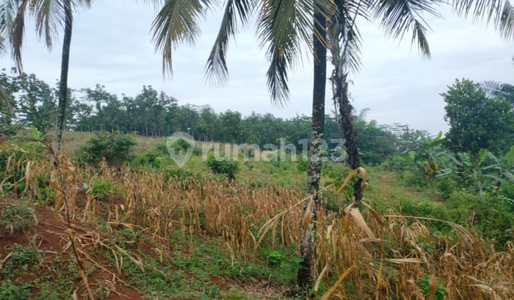 Tanah di Saguling SHM - Sertifikat Hak Milik 15000 Squaremeter