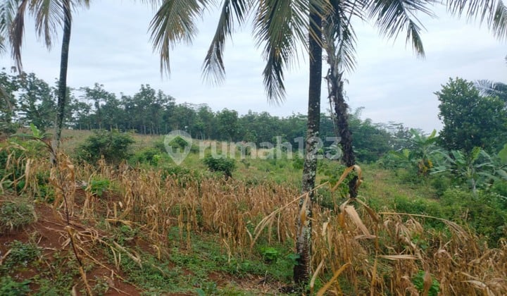 Tanah di Saguling SHM - Sertifikat Hak Milik 15000 Squaremeter