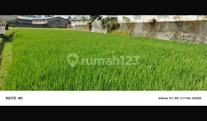 Tanah di Cimalaka SHM - Sertifikat Hak Milik 2185 Squaremeter