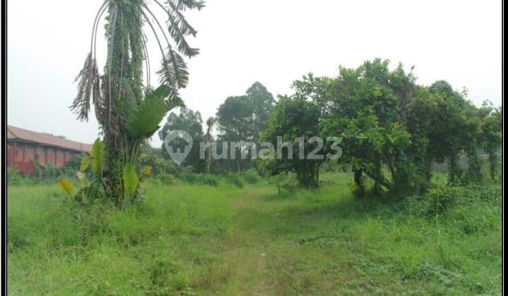 Tanah 9260 m² HGB
