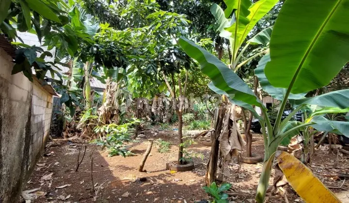 Tanah di Jombang SHM - Sertifikat Hak Milik 230 Squaremeter