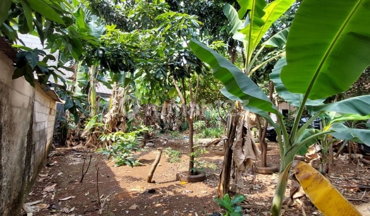 Land in Jombang with SHM - Ownership Certificate 230 Square meters