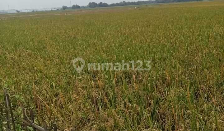 Tanah Tanah di Cibarusah SHM 4000.0 m²
