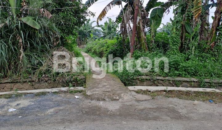 Lahan Tanah di Sukaraja Cijujung Bogor Jawa Barat