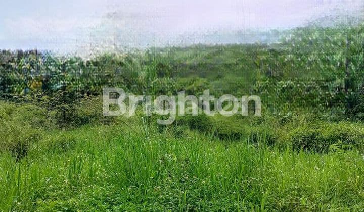 TANAH STRATEGIS BEKAS EKS PABRIK DI KARAWANG