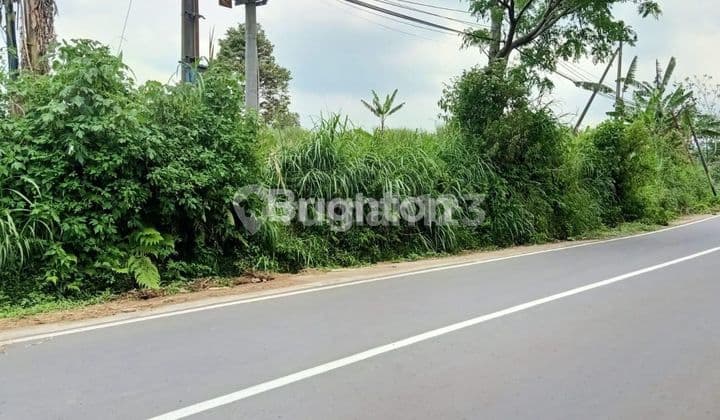 TANAH STRATEGIS UNTUK PERUMAHAN/PERTANIAN DI NONGKOJAJAR, SAWIRAN