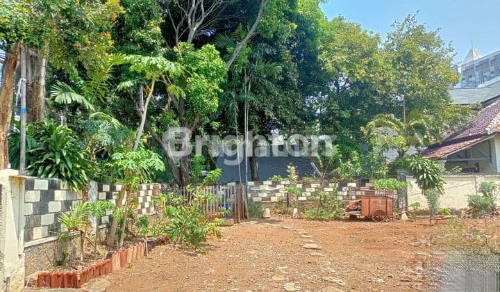 RUMAH TUA ADA KOST-KOSTAN DI MENTENG JAKARTA PUSAT