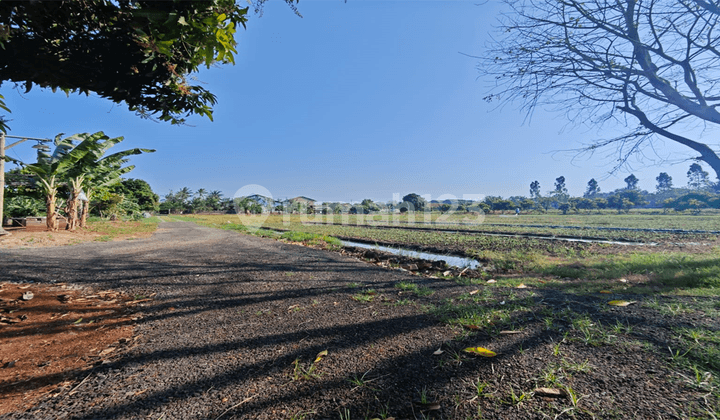 Dijual Tanah Tangerang Tanah Kampung Melayu Teluk Naga Tangerang Shm Bisa Pecah Kavling Nego