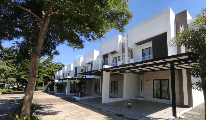 Green Bamboo Terrace Green Bamboo Terrace