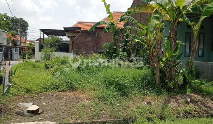 Dijual Tanah Jl Bambang Juwono Selangkah Dari By Pass Krian