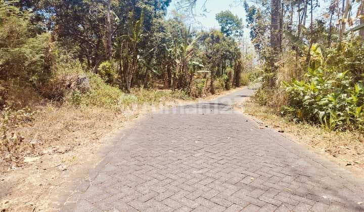 Di Jual Cepat Kebun Mangga SHM di Ngembal Pasuruan