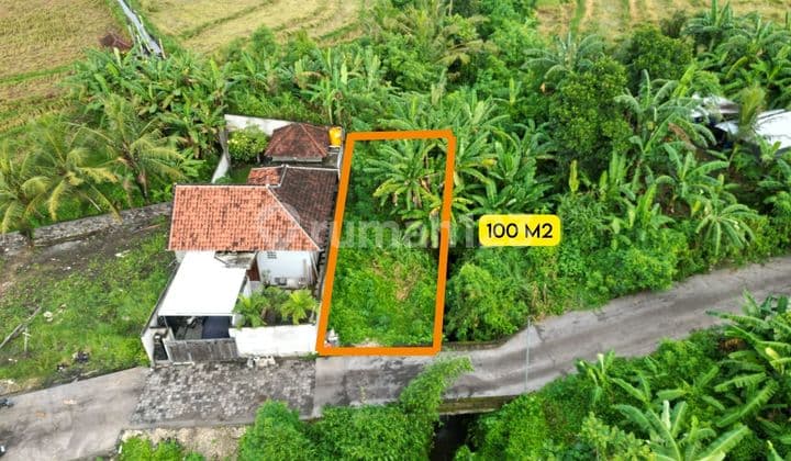 Freehold Land, Kedungu