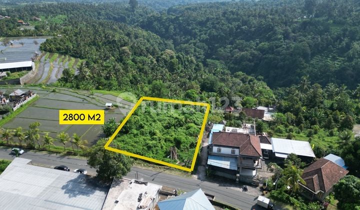 Freehold Land Busungbiu