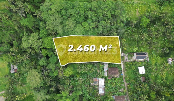 Rare Opportunity: Freehold Sidan Ubud Land With Scenic River View