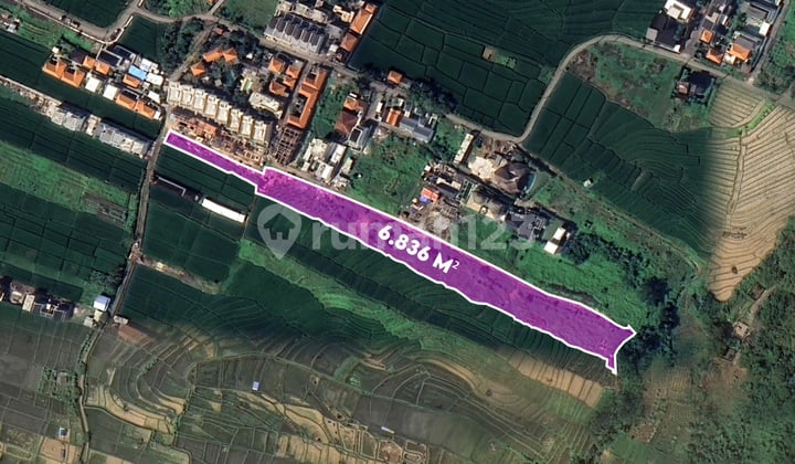 Prime 6,836 M² Leasehold Land In Cemagi - Stunning Rice Field Views