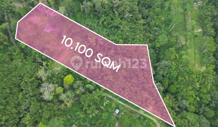 Land For Sale With Amazing View 101 Are In Ubud