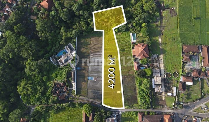 Potential Land Ideal for Project Development for Lease in Buwit