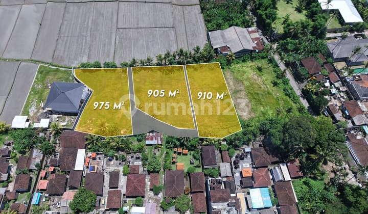 Large Residential Plots With Road Access In Tranquil Kaba-Kaba