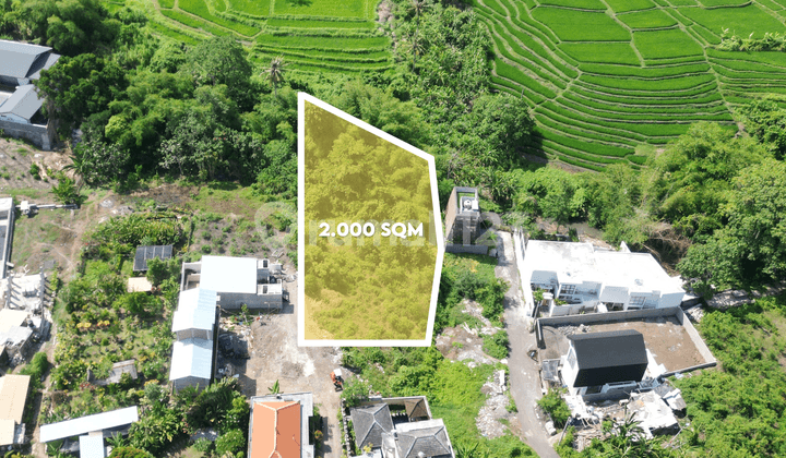 Prestigious 2,000 m² Rice Field Land for Lease in Canggu