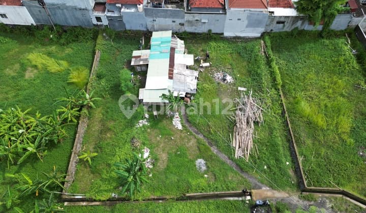 Landplot With Ricefields Surrounding In Strategic Area For Lease In Kerobokan
