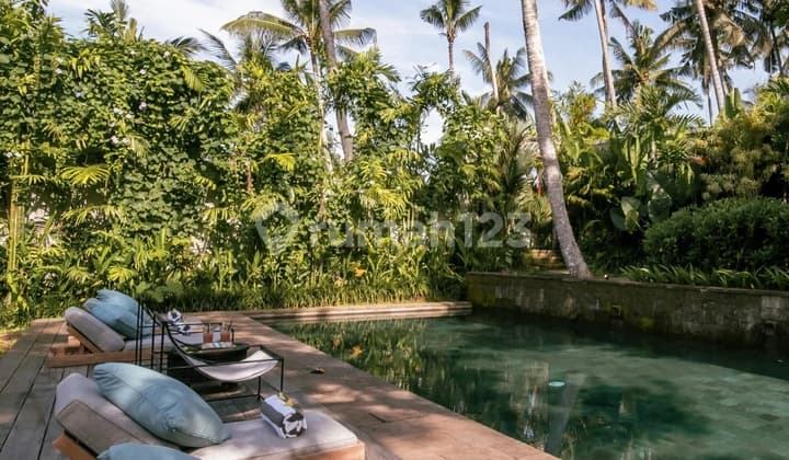Luxurious Resort with Amazing Views Surrounding for Lease in Bedulu Ubud