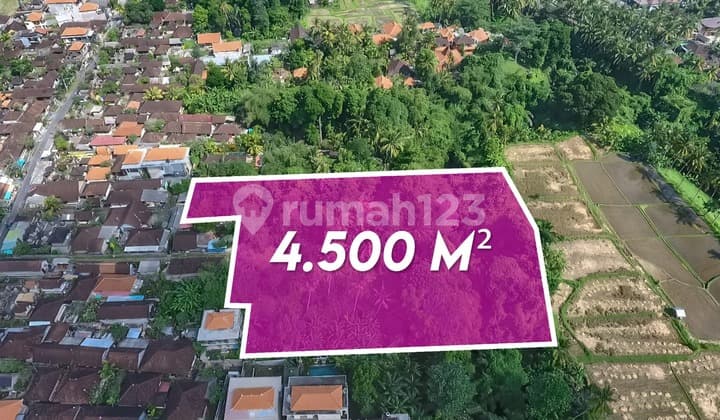 Ubud Development Land With Rice Field Views | Freehold Or Leasehold