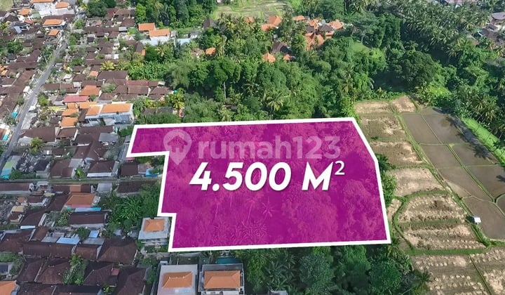 Ubud Development Land With Rice Field Views | Freehold Or Leasehold