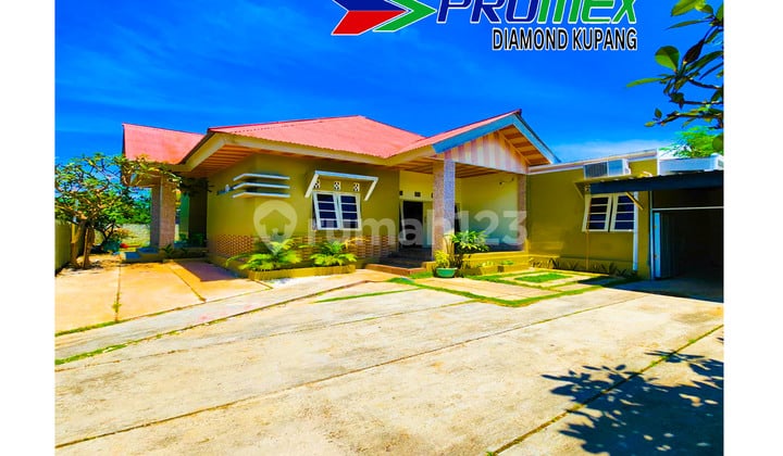 Di Jual Rumah Super Murah Area Oesapa Selatan Lokasi Stratgeis Kota Kupang Ntt