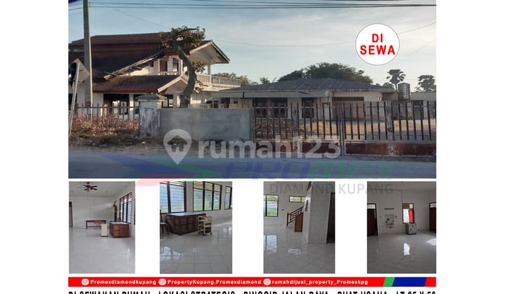 Di Sewakan Rumah Lokasi Strategis , Pinggir Jalan Raya , Cocok Buat Bisnis Area Oesapa , Jl Timor Raya 25 A Kota Kupang Ntt