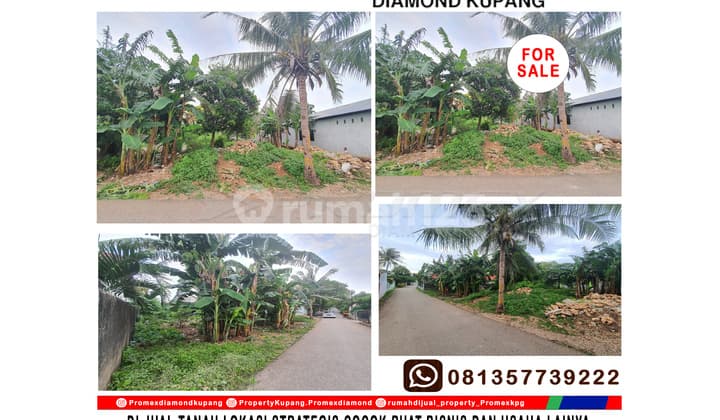 Di Jual Tanah Lokasi Strategis Cocok Buat Bisnis Dan Uasaha Lainya Area Tofa Kota Kupang Ntt