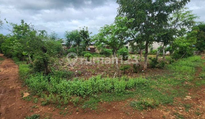 DI JUAL TANAH MURAH LOKASI STRATEGIS TANAH RATA POSISI HOOK AREA MATANI KOTA KUPANG NTT