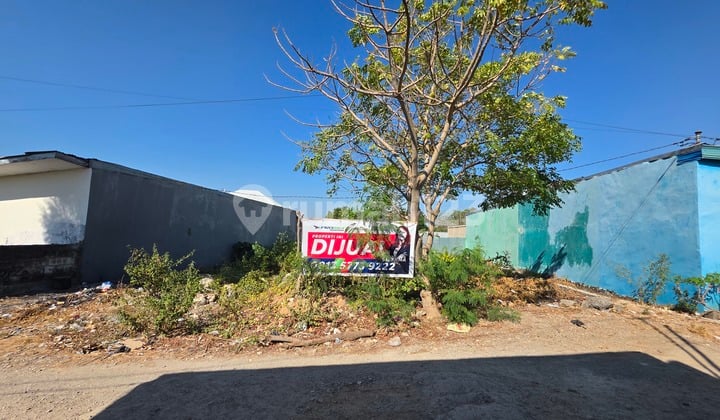 FOR SALE SUPER CHEAP LAND STRATEGIC LOCATION NEAR UNDANA CAMPUS AREA KUPANG CITY NTT