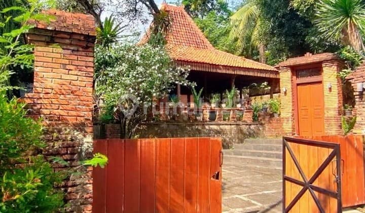 Rumah Pendopo Bagus Dipinggir Jalan Utama di Bintaro Sektor 9