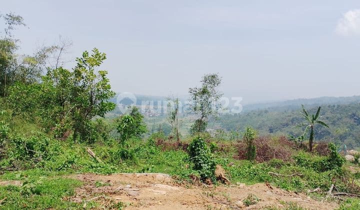 Tanah 20 Ha Bagus Utk Investasi & Tempat Wisata Alam di Jonggol, Kabupaten Bogor, Jabar