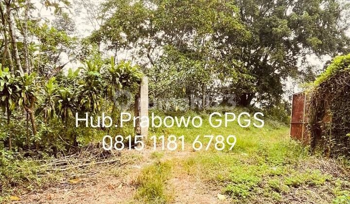 Affordable Land/Garden for Sale - Cariu Mekarsari Bogor