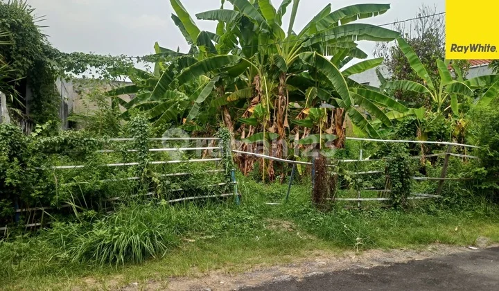 Tanah Dijual di Jl Semolowaru Utara Surabaya Tanah Dijual di Jl Semolowaru Utara Surabaya