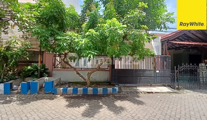 Rumah di Pandugo Baru Rungkut Surabaya Timur
