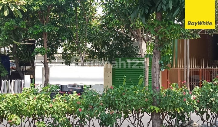 Dijual Rumah 2 Lt di Nol Jl Raya Dharmahusada Surabaya Dijual Rumah 2 Lt di Nol Jl Raya Dharmahusada Surabaya
