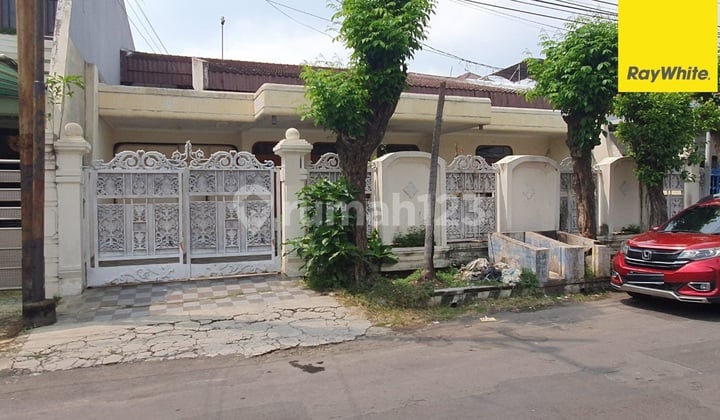 Disewakan Rumah di Dharmahusada Indah Utara Surabaya Disewakan Rumah di Dharmahusada Indah Utara Surabaya